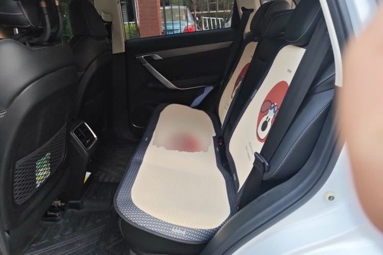 Used Geely Auto Emgrand X7 Sport 2020 1.8TD DCT Smart PRO Left Rear Seat