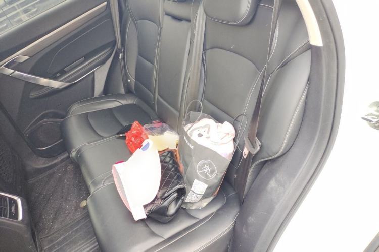 Used Geely Auto Emgrand X7 Sport 2020 1.8TD DCT Smart PRO Left Rear Seat