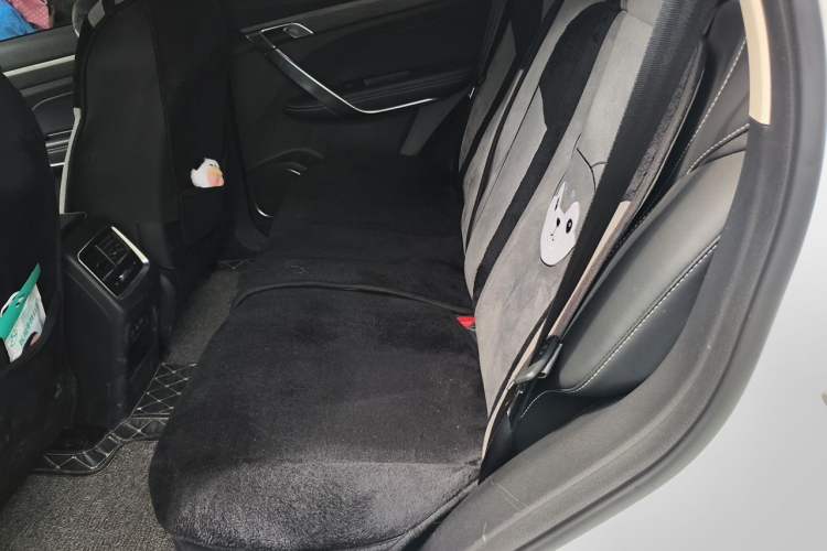 Used Geely Auto Emgrand X7 Sport 2020 1.8TD DCT Smart PRO Left Rear Seat