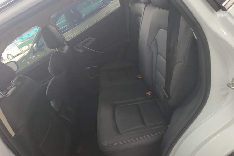 Used Geely Auto Emgrand X7 Sport 2021 1.8TD DCT Two-Wheel Drive Asian Games Comfort Edition Left Rear Seat