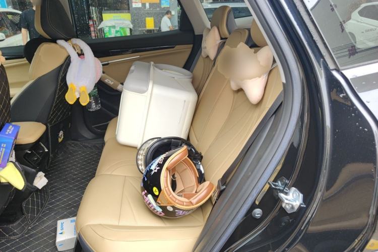 Used Geely Auto FX11 2023 1.5TD DCT Prestige Edition Left Rear Seat