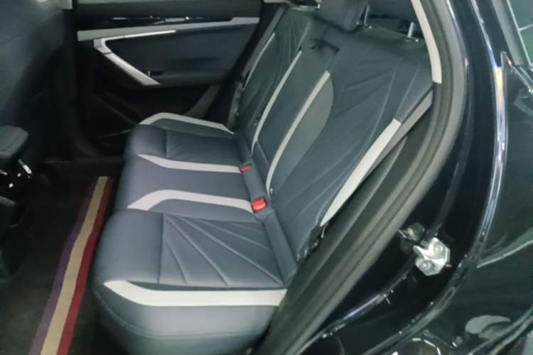 Used Geely Auto FX11 2023 1.5TD DCT Glory Edition Left Rear Seat