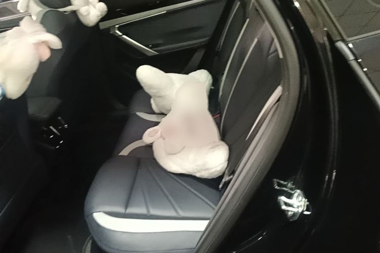 Used Geely Auto FX11 2023 1.5TD DCT Glory Edition Left Rear Seat