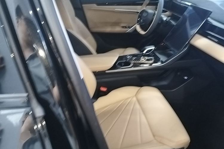 Used Geely Auto FX11 2023 1.5TD DCT Prestige Edition Right Front Seat