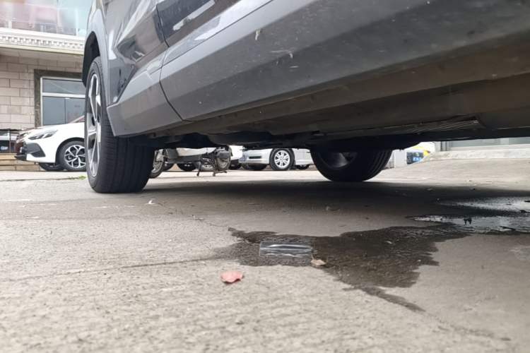 Used Geely Auto FX11 2023 1.5TD DCT Glory Edition Right Side Sill
