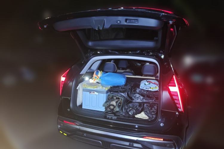 Used Geely Auto FX11 2023 1.5TD DCT Prestige Edition Trunk