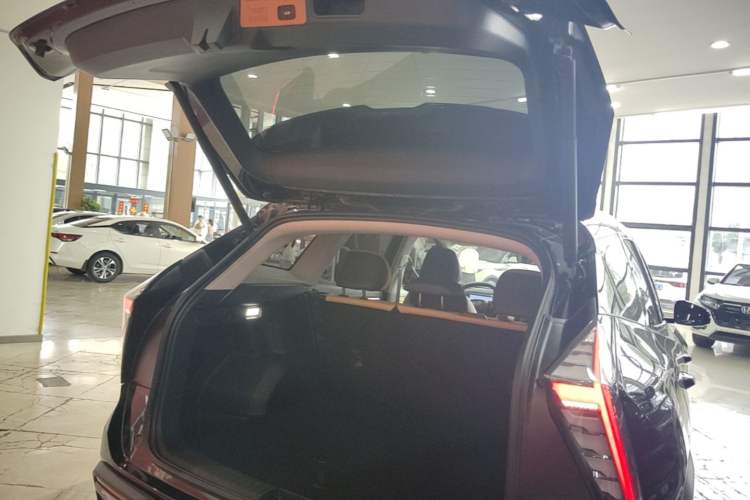 Used Geely Auto FX11 2023 1.5TD DCT Prestige Edition Trunk