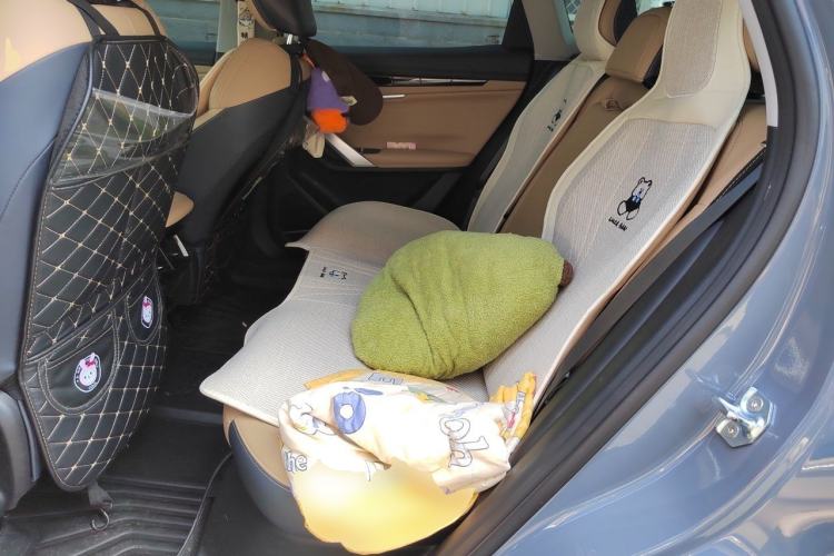 Used Geely Auto FX11 2023 1.5TD DCT Prestige Edition Left Rear Seat