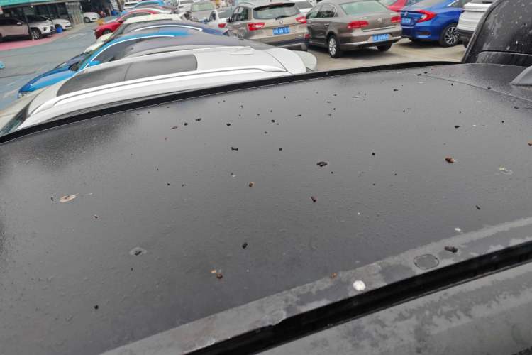 Used Geely Auto FX11 2023 1.5TD DCT Luxury Version Roof