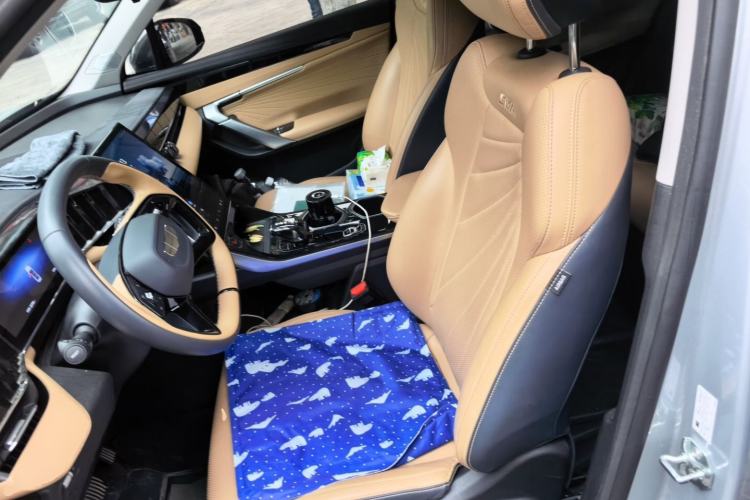 Used Geely Auto FX11 2023 1.5TD DCT Prestige Edition Left Front Seat