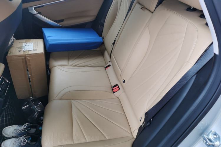 Used Geely Auto FX11 2023 1.5TD DCT Prestige Edition Left Rear Seat