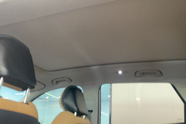 Used Geely Auto FX11 2023 1.5TD DCT Prestige Edition Headliner