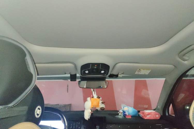 Used Geely Auto FX11 2023 1.5TD DCT Prestige Edition Headliner