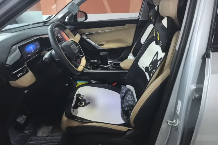 Used Geely Auto FX11 2023 2.0TD DCT Prestige Edition Left Front Seat
