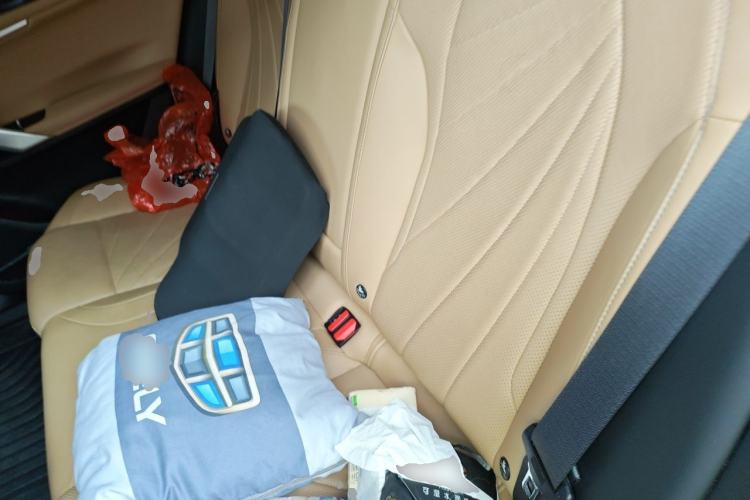Used Geely Auto FX11 2023 1.5TD DCT Prestige Edition Left Rear Seat