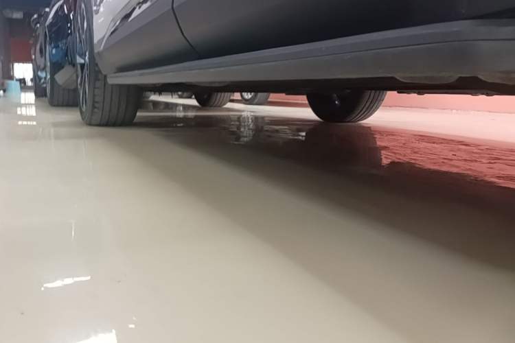 Used Geely Auto FX11 2023 2.0TD DCT Flagship Version Left Side Sill
