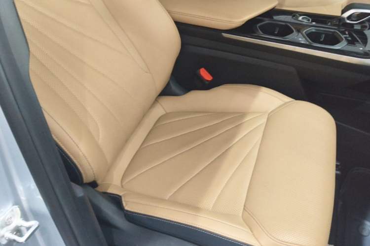 Used Geely Auto FX11 2023 2.0TD DCT Prestige Edition Right Front Seat