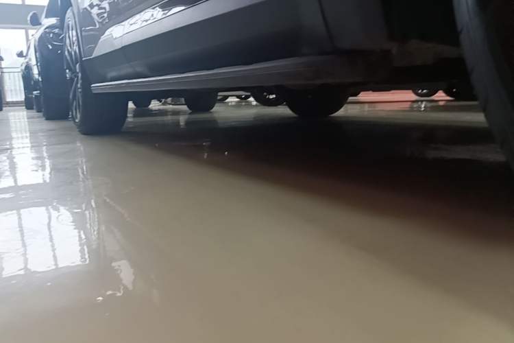 Used Geely Auto FX11 2023 2.0TD DCT Flagship Version Right Side Sill