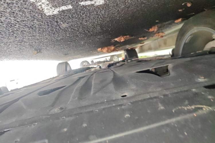 Used Geely Auto FX11 2023 1.5TD DCT Prestige Edition Chassis Front