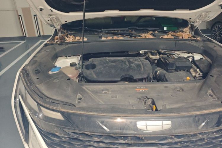 Used Geely Auto FX11 2023 1.5TD DCT Prestige Edition Engine Bay Right