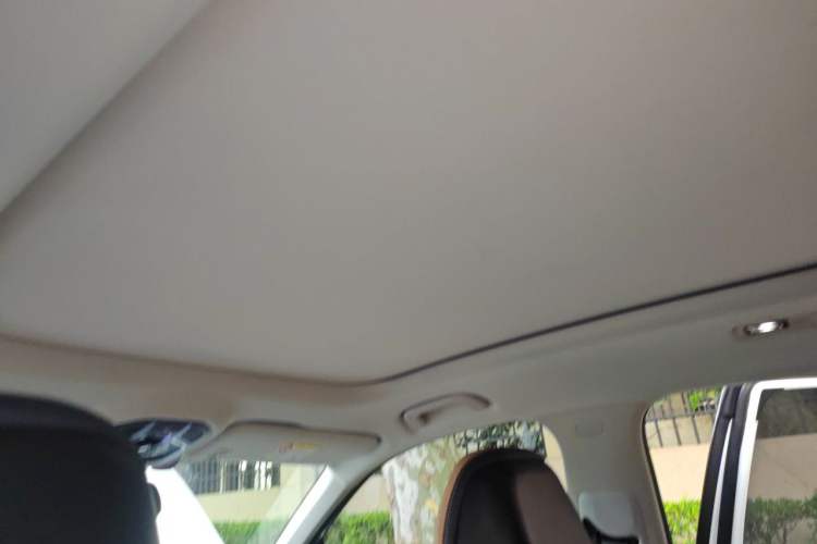 Used Geely Auto FX11 2023 1.5TD DCT Prestige Edition Headliner