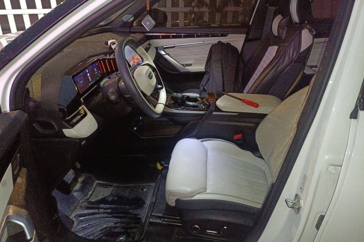 Used Geely Auto FX11 2023 1.5TD Leishen Hi·F Super Rui Left Front Seat