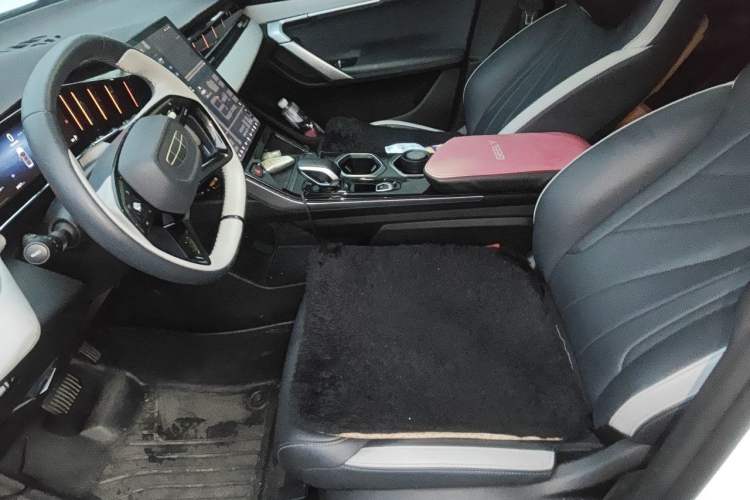 Used Geely Auto FX11 2023 1.5TD DCT Glory Edition Left Front Seat