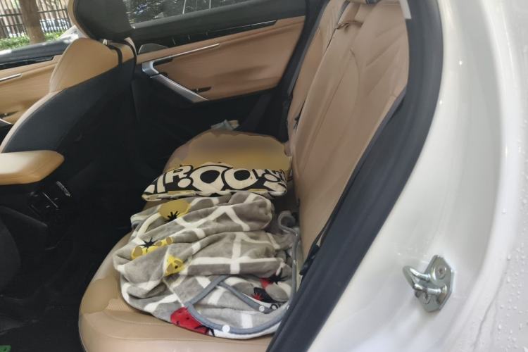 Used Geely Auto FX11 2023 2.0TD DCT Prestige Edition Left Rear Seat