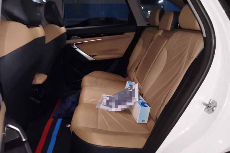Used Geely Auto FX11 2023 2.0TD DCT Flagship Version Left Rear Seat
