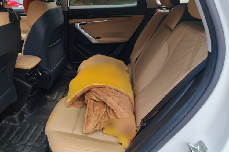 Used Geely Auto FX11 2023 1.5TD DCT Prestige Edition Left Rear Seat