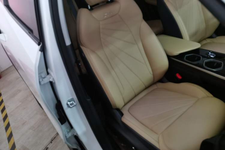 Used Geely Auto FX11 2023 2.0TD DCT Prestige Edition Right Front Seat