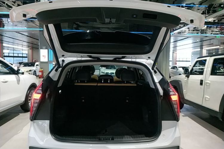 Used Geely Auto FX11 2023 2.0TD DCT Flagship Version Trunk