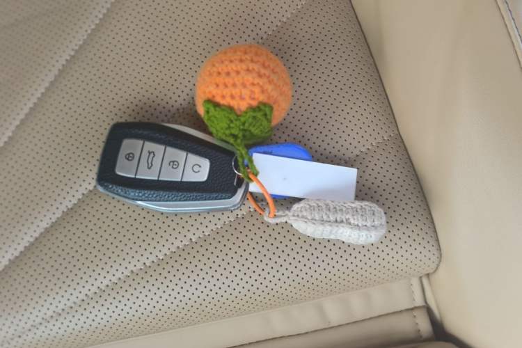 Used Geely Auto FX11 2023 2.0TD DCT Flagship Version Vehicle Key