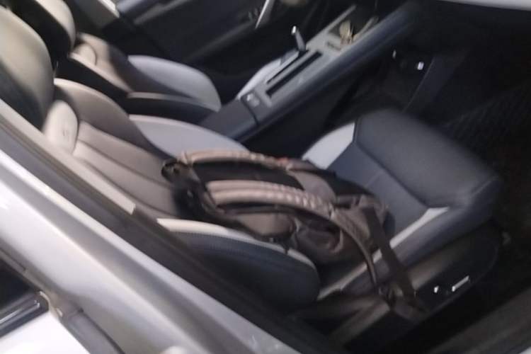 Used Geely Auto FX11 2024 1.5TD DCT Prestige Edition Right Front Seat