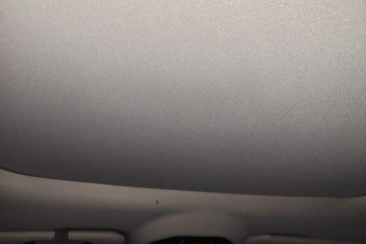 Used Geely Auto FX11 2024 1.5TD DCT Prestige Edition Headliner