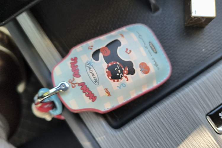 Used Geely Auto FX11 2024 1.5TD DCT Prestige Edition Vehicle Key
