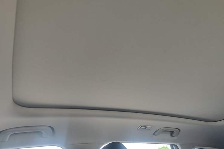Used Geely Auto FX11 2024 1.5TD DCT Prestige Edition Headliner