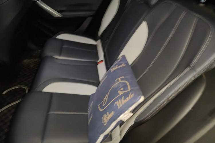 Used Geely Auto FX11 2024 1.5TD DCT Prestige Edition Left Rear Seat