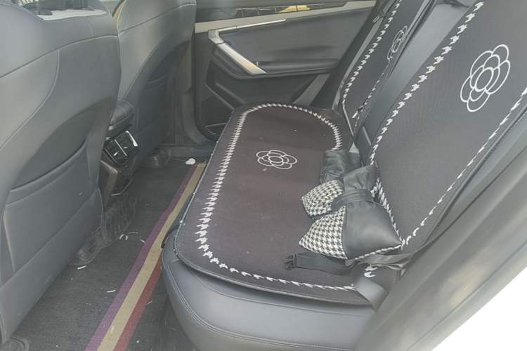 Used Geely Auto FX11 2024 1.5TD DCT Prestige Edition Left Rear Seat