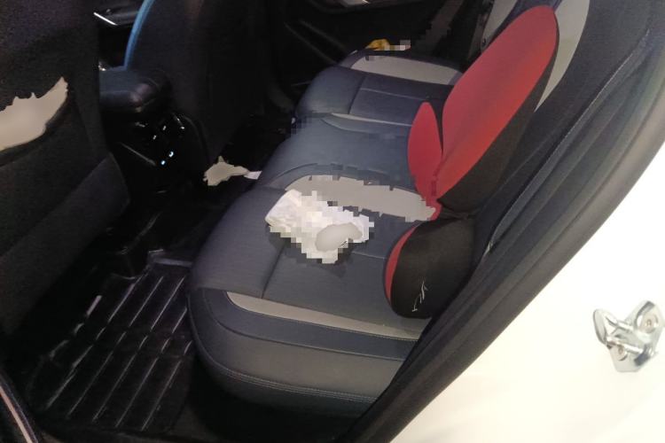 Used Geely Auto FX11 2024 1.5TD DCT Prestige Edition Left Rear Seat