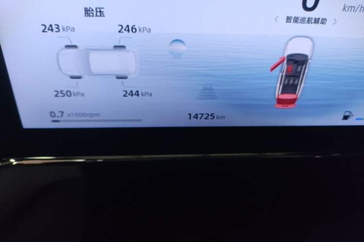 Used Geely Auto FX11 2024 1.5TD DCT Prestige Edition Odometer Close Up