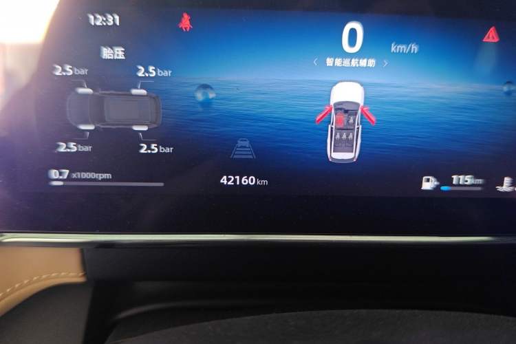 Used Geely Auto FX11 2024 1.5TD DCT Prestige Edition Odometer Close Up
