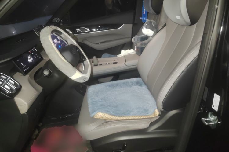 Used Geely Auto FX11 2025 4th Generation 1.5TD DCT - Shanhe Left Front Seat