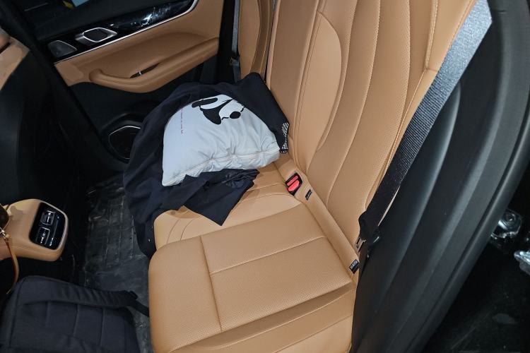 Used Geely Auto FX11 2025 4th Generation 1.5TD DCT - Shanhe Left Rear Seat