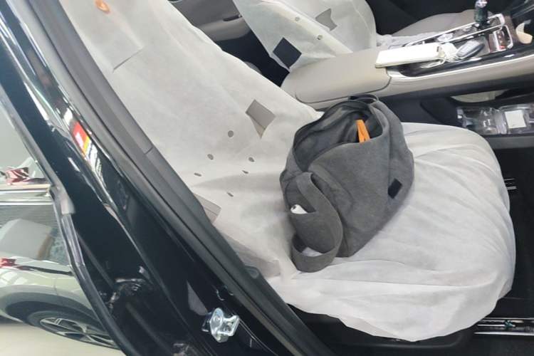Used Geely Auto FX11 2025 4th Generation 1.5TD DCT - Shanhe Right Front Seat
