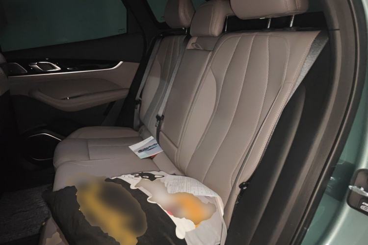 Used Geely Auto FX11 2025 4th Generation 1.5TD DCT - Shanhe Left Rear Seat