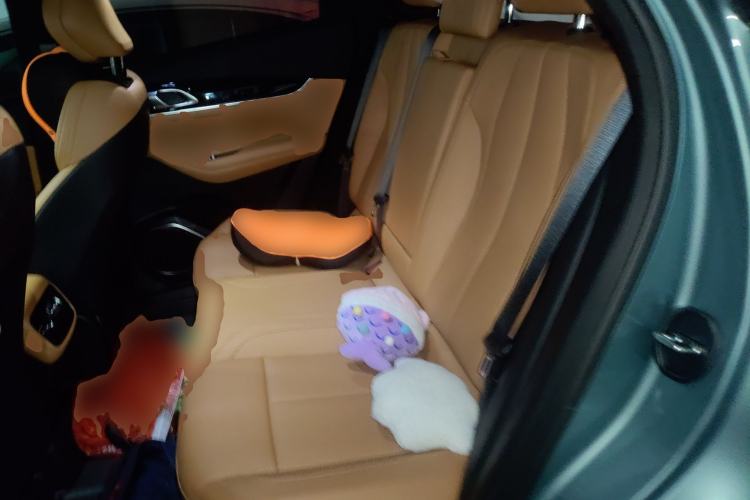 Used Geely Auto FX11 2025 4th Generation 1.5TD DCT - Shanhe Left Rear Seat