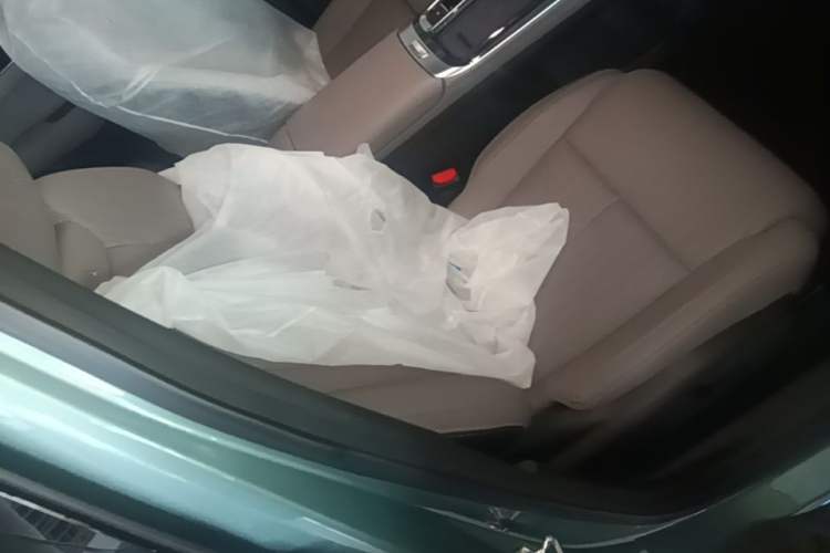 Used Geely Auto FX11 2025 4th Generation 1.5TD DCT Jinxiu Right Front Seat