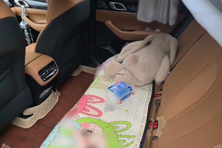 Used Geely Auto FX11 2025 4th Generation 1.5TD DCT - Shanhe Left Rear Seat