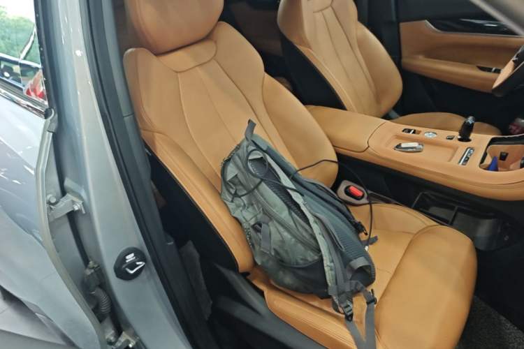 Used Geely Auto FX11 2025 4th Generation 1.5TD DCT - Shanhe Right Front Seat